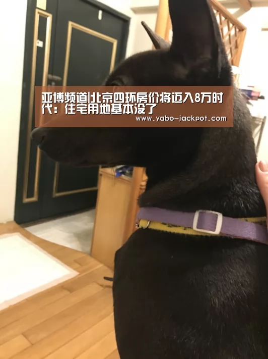 亚博推荐